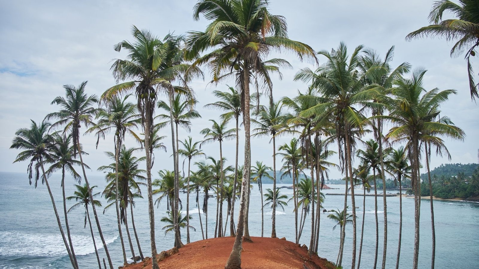 Mirissa and the South Coast: Whale Watching Seasons, Quiet Bays, and Beach Planning
