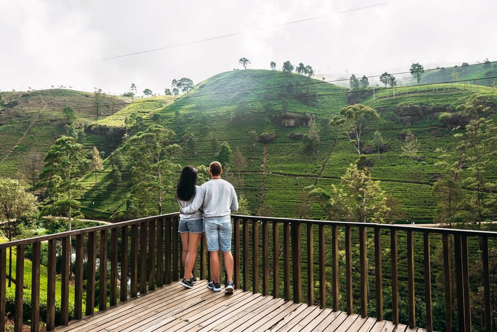 Couple In Love At Tea Plantation Travel To Sri La