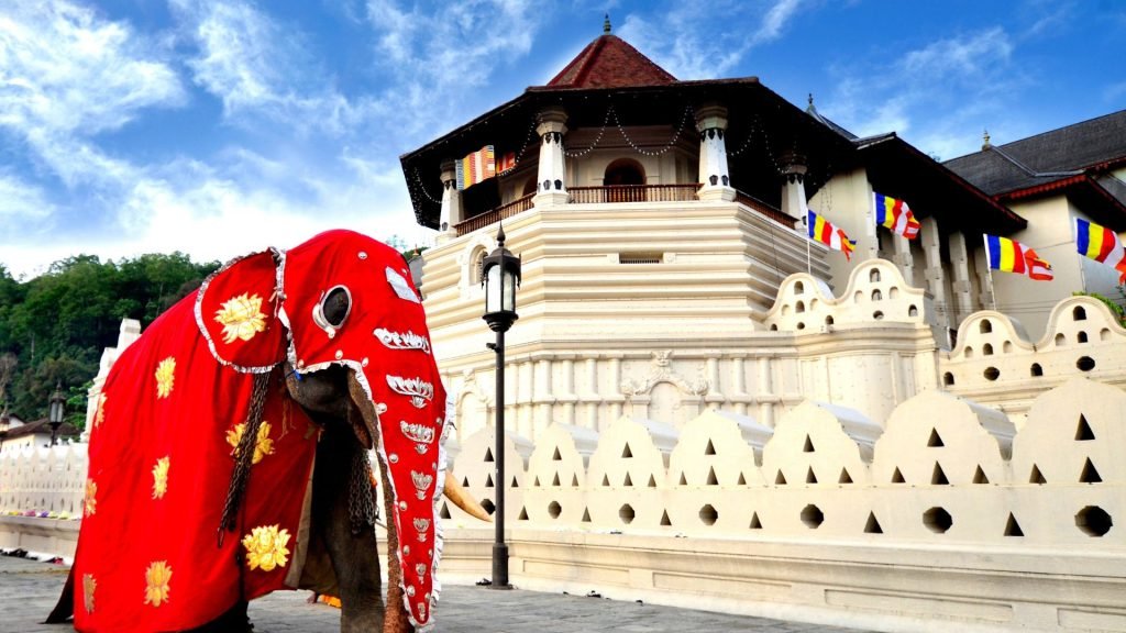 Kandy Temple Of The Tooth Perahera Elephant