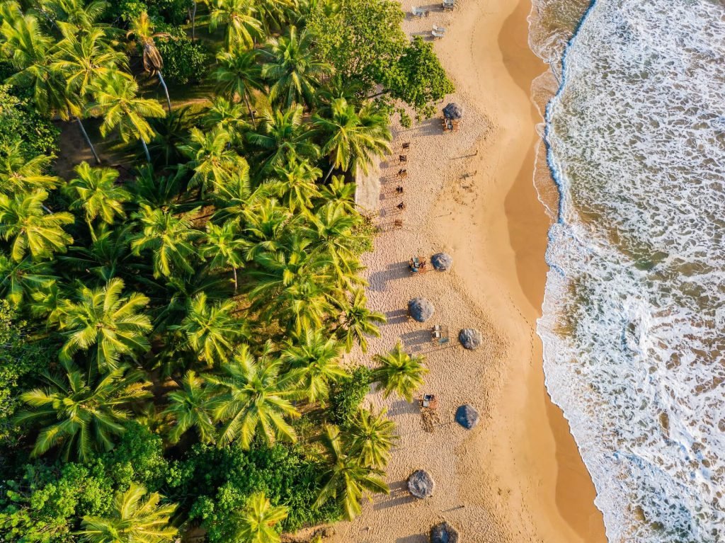 Romantic Sunset On A Tropical Beach With Palm Tree