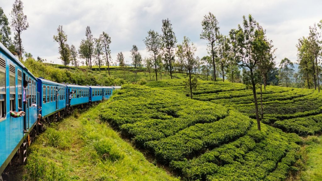 Blue Scenic Train Crossing Misty Tea Plantations In Sri Lanka Hill Country