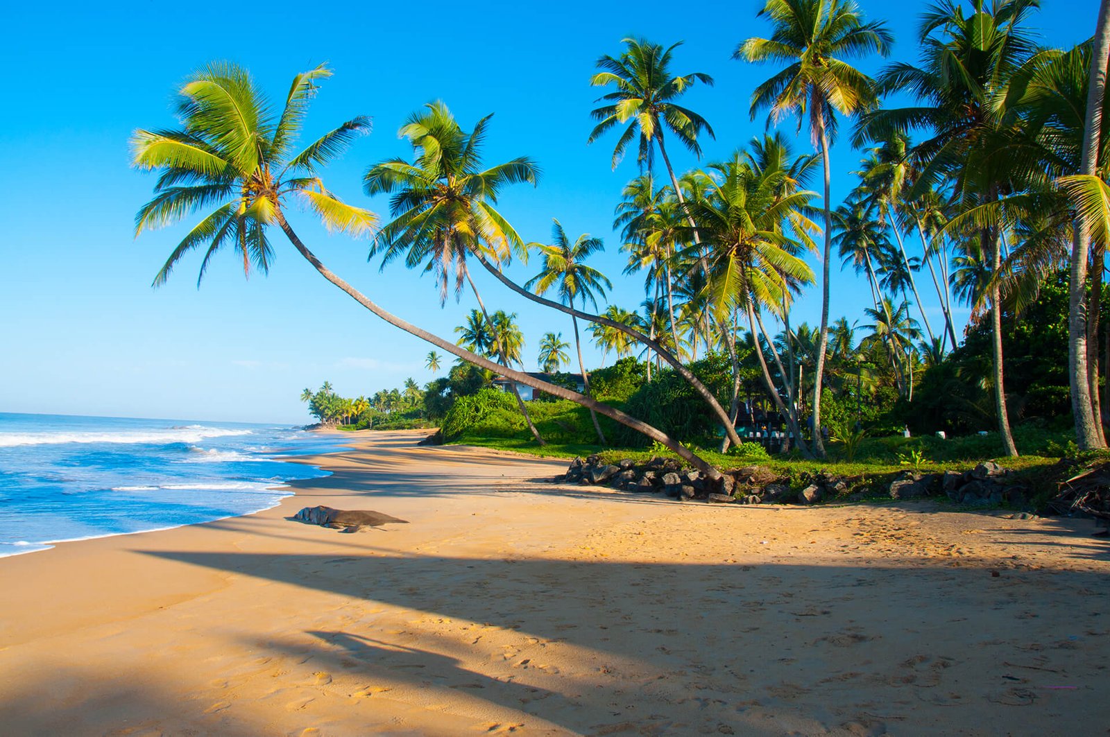 Tell Us About Your Trip Plans