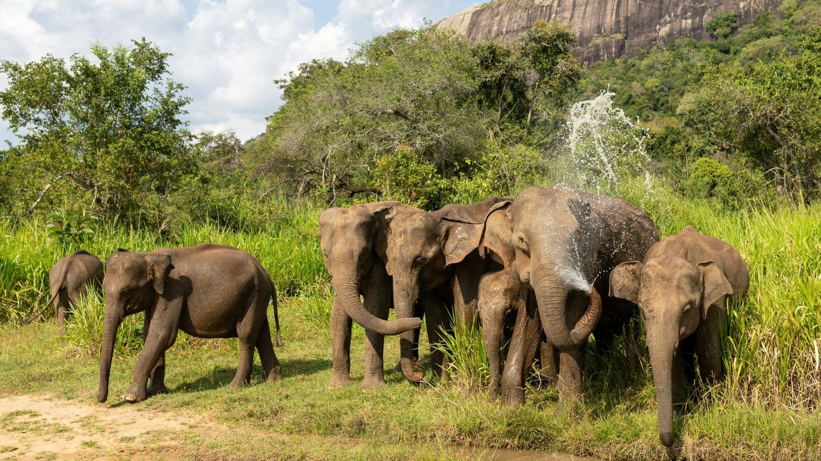11-Day Wildlife Tour
