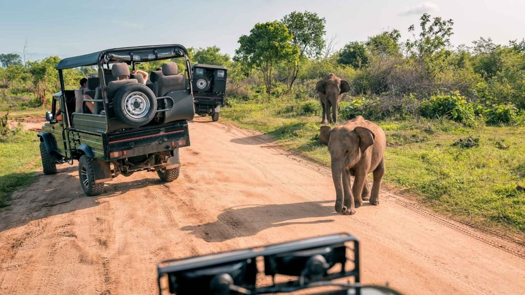 Yala Jeep Safari