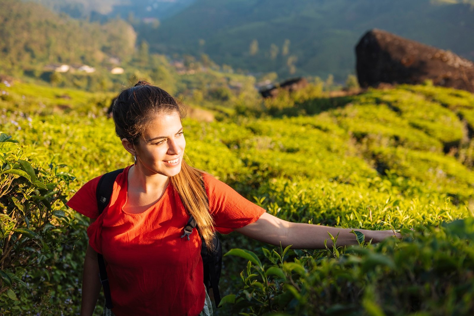 7-Day Tea Trail Tour